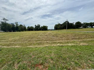 Campo aberto com grama seca e árvores ao fundo.