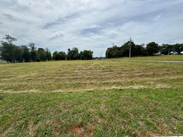 Terreno, foto 3