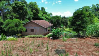 A foto mostra a fachada de uma casa de tijolos cercada por vegetação densa.