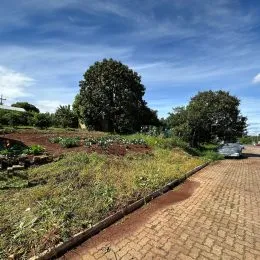 Terreno, foto 3
