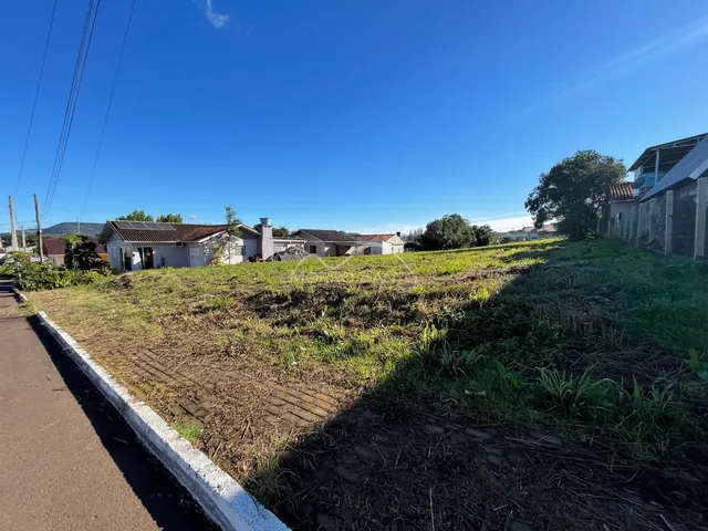 Terreno, foto 3