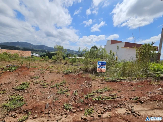 Terreno, foto 3