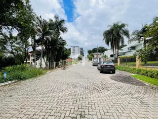Vista da rua pavimentada em Lajeado, Brasil, com vegetação ao redor.