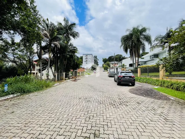 Vista da rua pavimentada em Lajeado, Brasil, com vegetação ao redor.