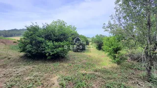 Área rural com 3 dormitórios, foto 14