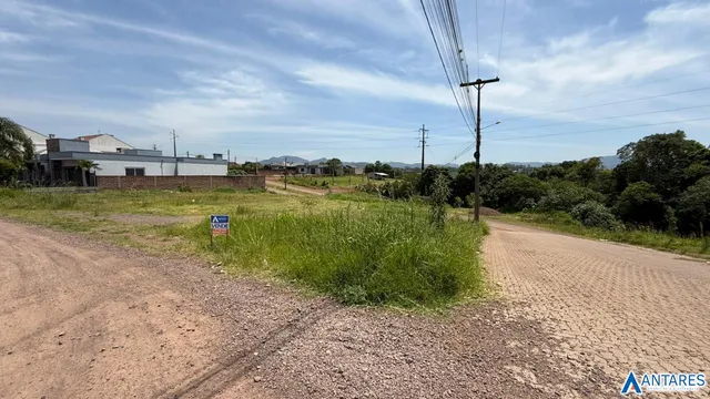 Vista externa de uma propriedade rural com vegetação alta e estrada de terra.