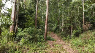 Área rural, foto 9