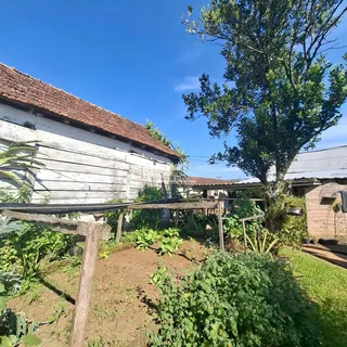 Área rural, foto 18