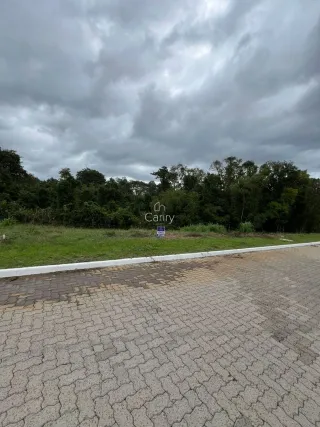 Terreno, foto 9