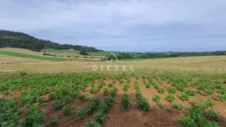 Área rural com 3 dormitórios, foto 9