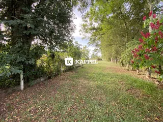 Área rural com 3 dormitórios, foto 52