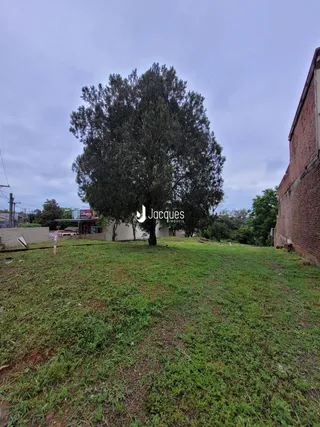 Terreno, foto 5