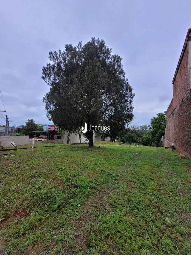 Terreno, foto 5