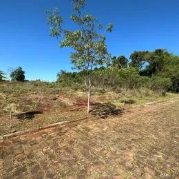 Vista de um terreno aberto com vegetação seca sob um céu azul.