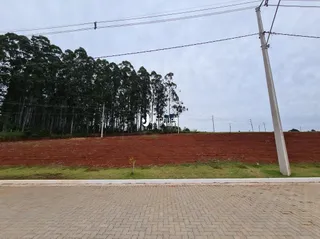 Terreno, foto 9