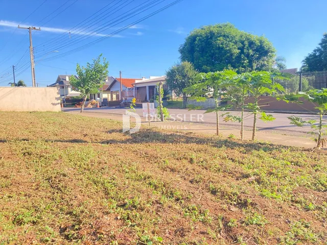 Terreno, foto 4