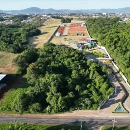 Vista aérea de uma área com vegetação densa e terreno aberto.