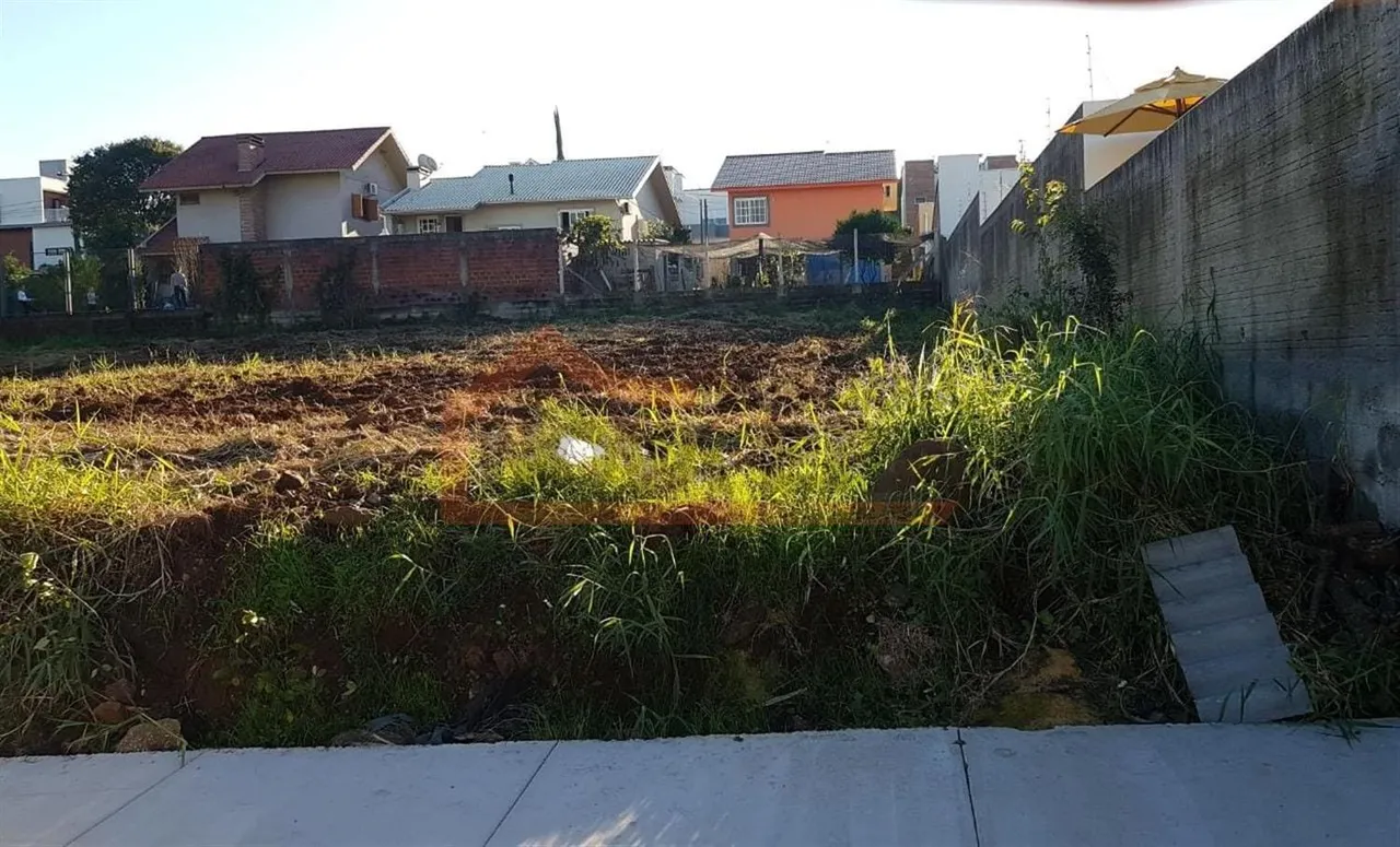 Terreno, foto 1