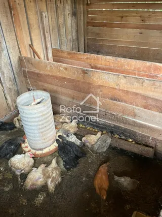 Área rural, foto 7
