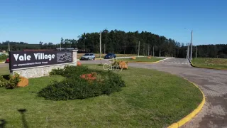 Terreno, foto 11