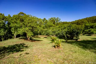 Área rural com 4 dormitórios, foto 42