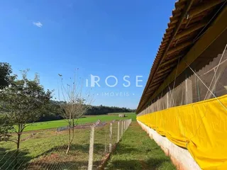 Área rural com 3 dormitórios, foto 16