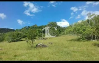 Área rural, foto 4