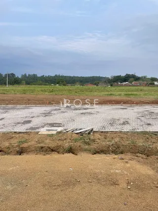 Terreno, foto 3