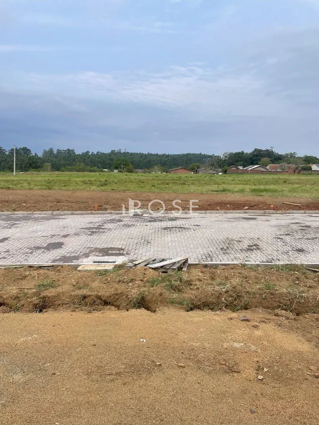 Terreno, foto 3