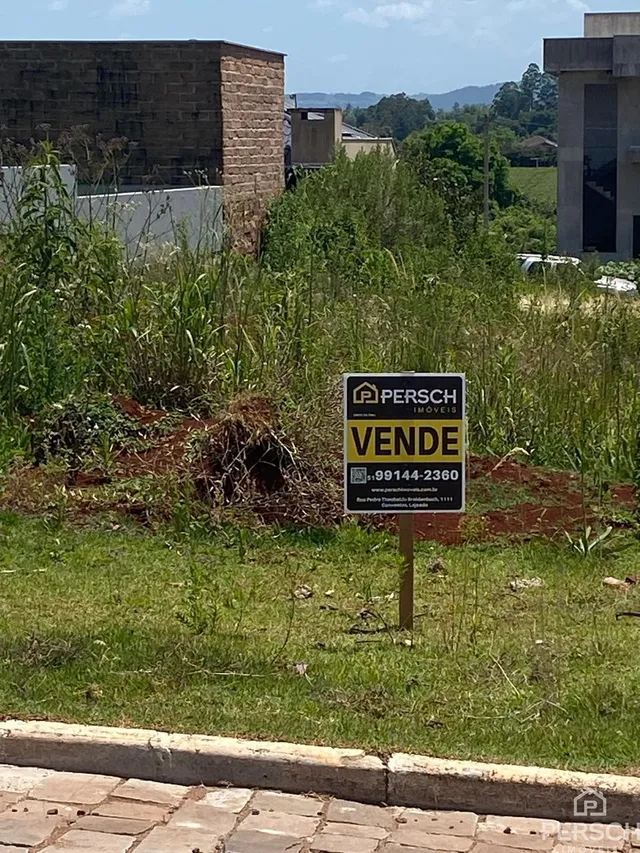 Terreno, foto 3
