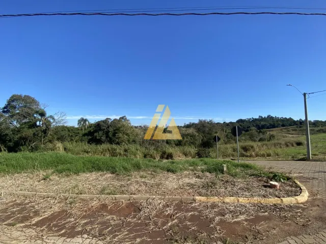 Terreno, foto 2