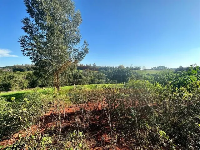 Área rural com 3 dormitórios, foto 3