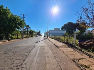 Vista da rua em Lajeado, Brasil com árvores e postes de luz.