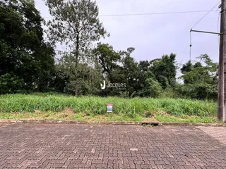 Vista externa de uma propriedade com vegetação e pavimento.