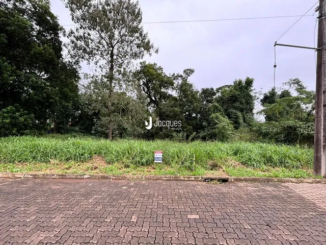 Vista externa de uma propriedade com vegetação e pavimento.