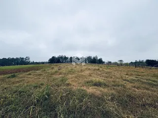 Vista de um campo aberto com vegetação seca sob um céu nublado.