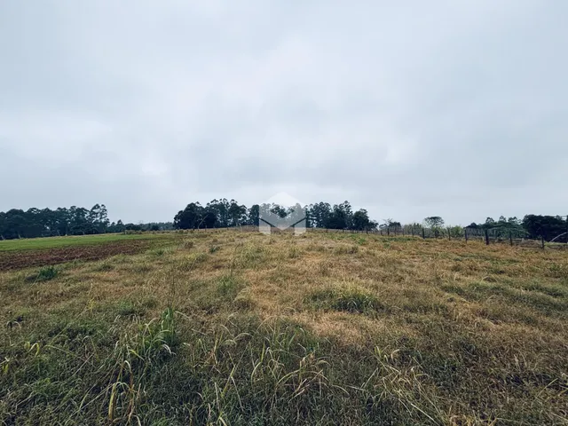 Vista de um campo aberto com vegetação seca sob um céu nublado.
