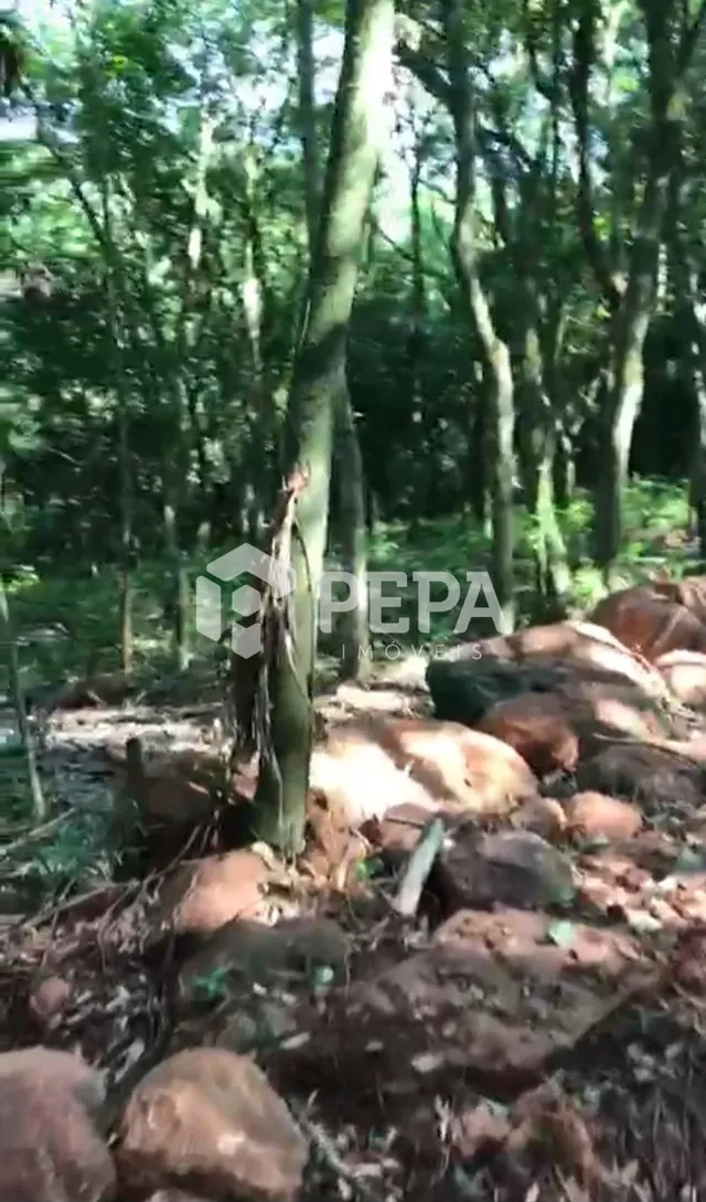 Terreno, foto 3