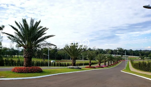 Terreno, foto 2