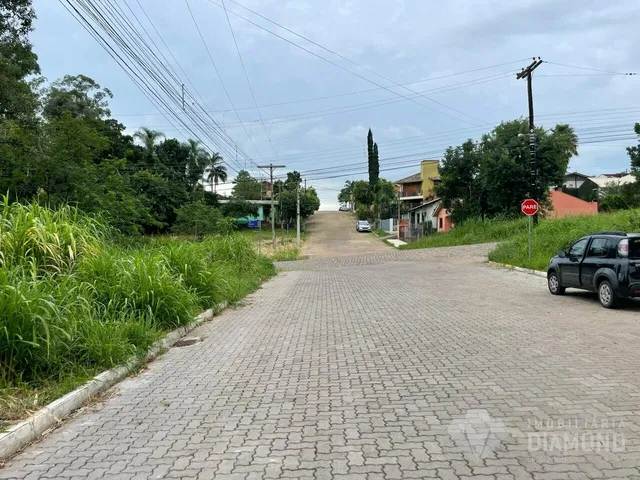 Terreno, foto 3
