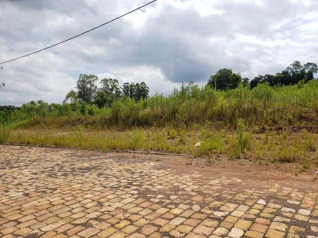 Vista externa do terreno com pavimentação de paralelepípedos e vegetação alta ao fundo.