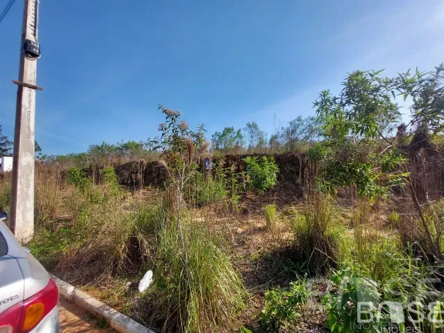 Terreno, foto 3