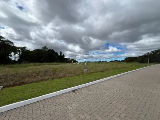 Terreno, foto 2