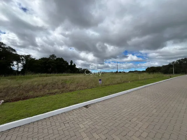 Terreno, foto 2