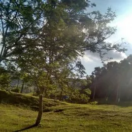 Área rural, foto 4