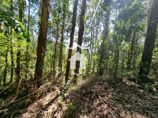 Área rural, foto 6