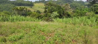 Vista panorâmica de colinas verdes e vegetação densa em Lajeado, Brasil.