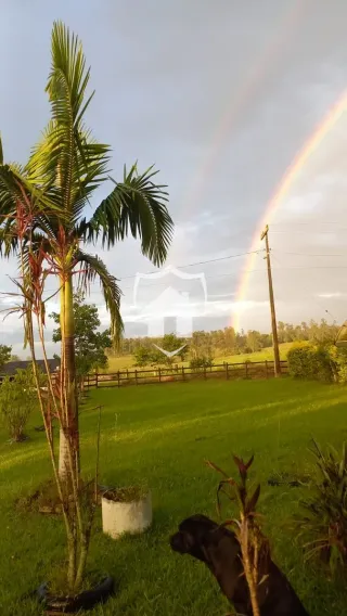 Área rural com 3 dormitórios, foto 3