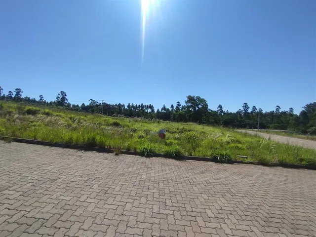 Terreno, foto 2