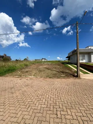 Terreno, foto 2